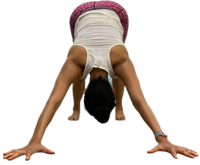 Intermediate Yoga 1